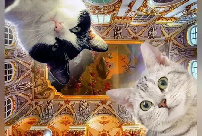 Международная выставка «Коты Эрмитажа».