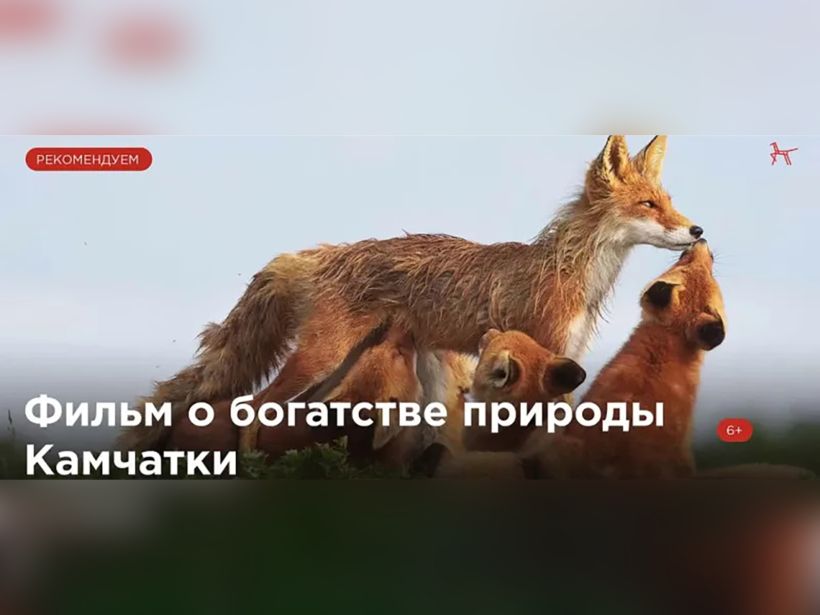 Кинофильм «Огненный лис».