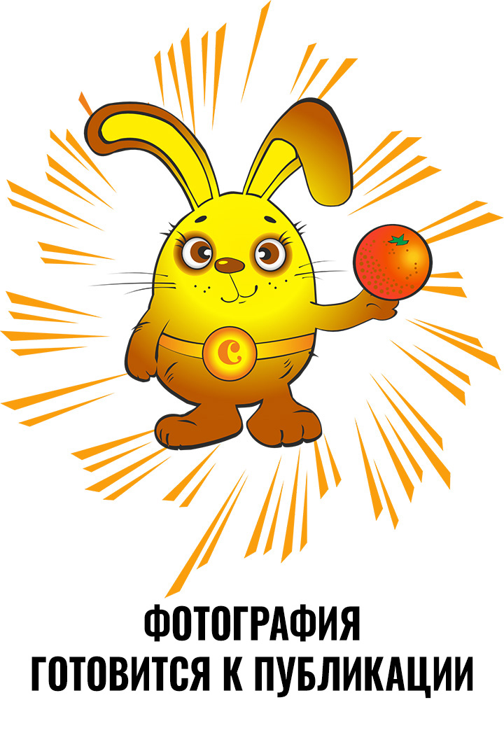 Колтунова Алена Андреевна.
